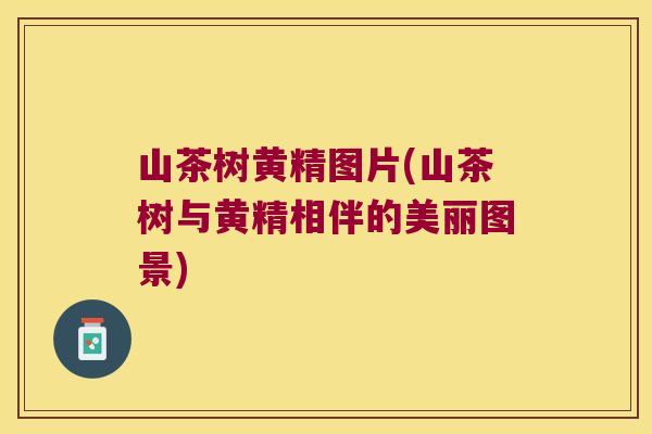 山茶树黄精图片(山茶树与黄精相伴的美丽图景) 山茶树黄精图片(山茶树与黄精相伴的美丽图景)