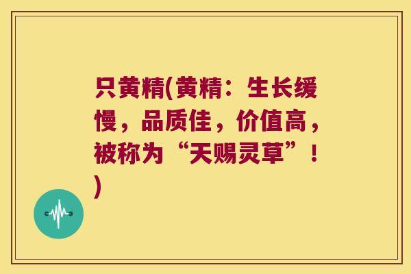 只黄精(黄精:生长缓慢,品质佳,价值高,被称为“天赐灵草”!) 只黄精(黄精:生长缓慢,品质佳,价值高,被称为“天赐灵草”!)