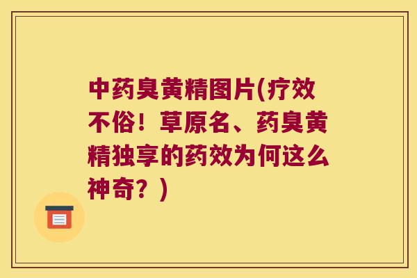 臭黄精图片(疗效不俗！草原名、药臭黄精独享的为何这么神奇？)