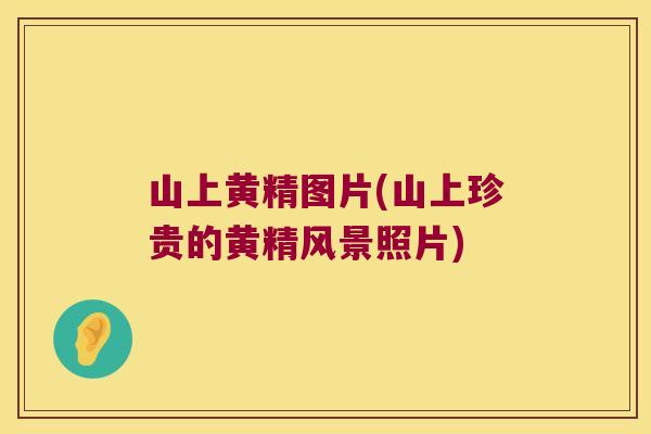 山上黄精图片(山上珍贵的黄精风景照片) 山上黄精图片(山上珍贵的黄精风景照片)