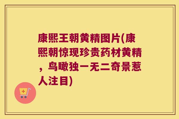 康熙王朝黄精图片(康熙朝惊现珍贵药材黄精，鸟瞰独一无二奇景惹人注目)
