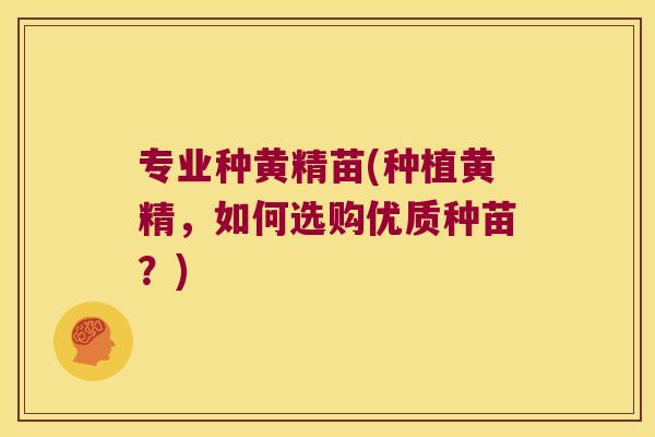 专业种黄精苗(种植黄精，如何选购优质种苗？)
