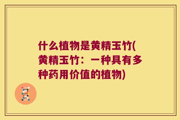 什么植物是黄精玉竹(黄精玉竹：一种具有多种药用价值的植物)