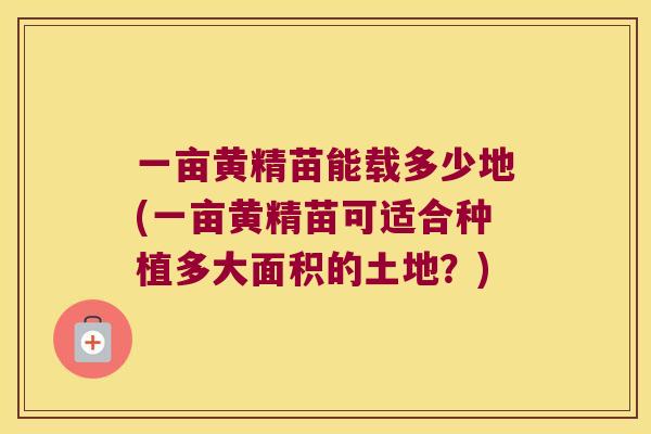 一亩黄精苗能载多少地(一亩黄精苗可适合种植多大面积的土地?) 一亩黄精苗能载多少地(一亩黄精苗可适合种植多大面积的土地?)