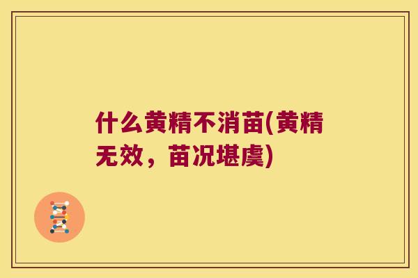 什么黄精不消苗(黄精无效,苗况堪虞) 什么黄精不消苗(黄精无效,苗况堪虞)