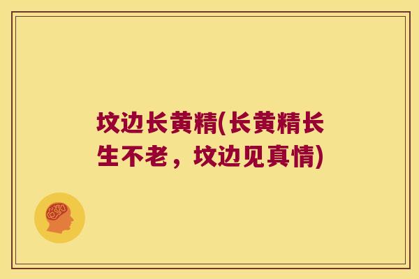 坟边长黄精(长黄精长生不老,坟边见真情) 坟边长黄精(长黄精长生不老,坟边见真情)