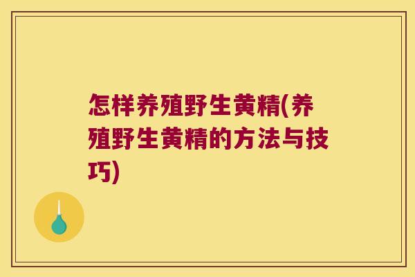 怎样养殖野生黄精(养殖野生黄精的方法与技巧)