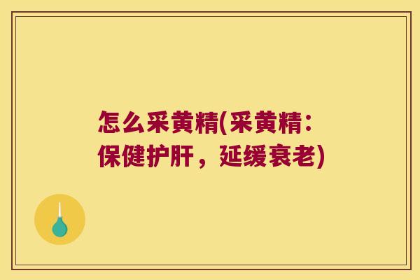 怎么采黄精(采黄精：保健，延缓)