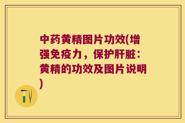 黄精图片功效(增强力，保护：黄精的功效及图片说明)