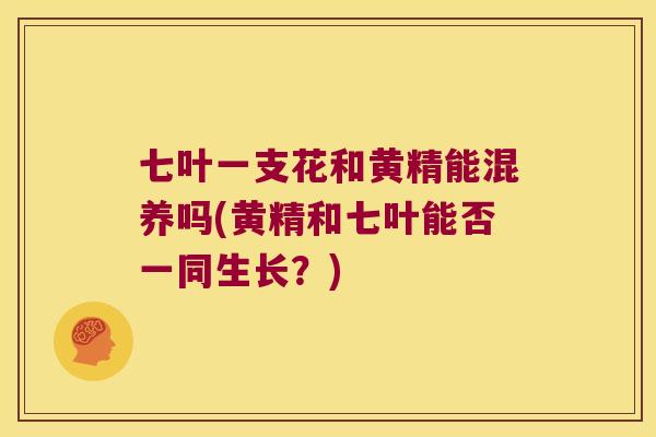 七叶一支花和黄精能混养吗(黄精和七叶能否一同生长？)