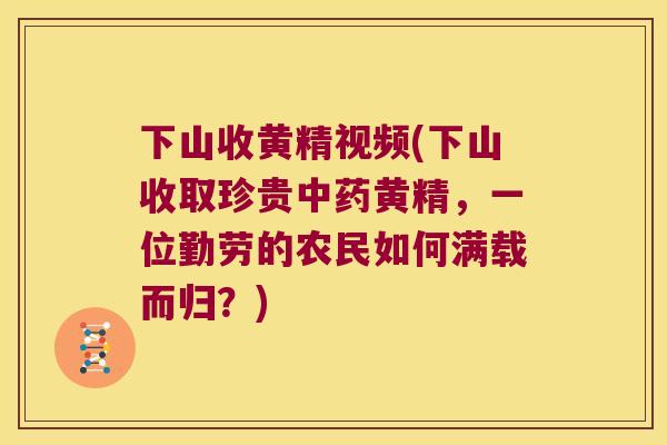 下山收黄精视频(下山收取珍贵黄精,一位勤劳的农民如何满载而归?) 下山收黄精视频(下山收取珍贵黄精,一位勤劳的农民如何满载而归?)