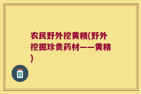 农民野外挖黄精(野外挖掘珍贵药材——黄精)