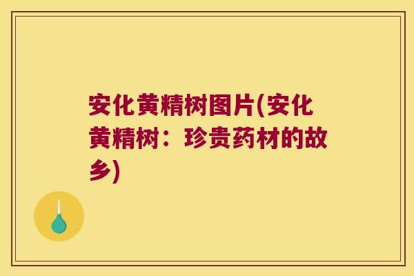 安化黄精树图片(安化黄精树：珍贵药材的故乡)