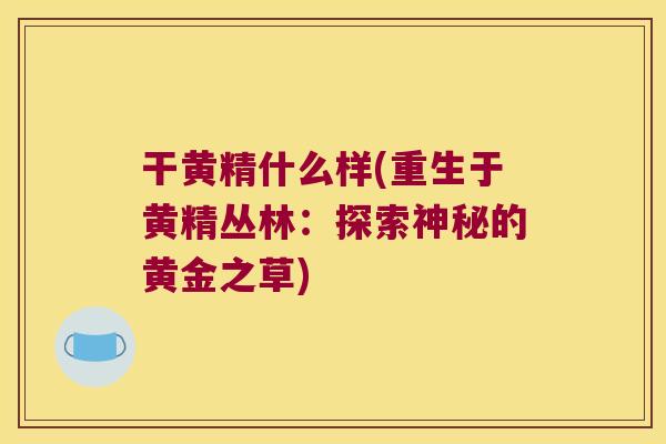 干黄精什么样(重生于黄精丛林：探索神秘的黄金之草)
