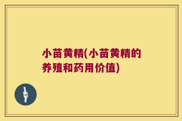小苗黄精(小苗黄精的养殖和药用价值)