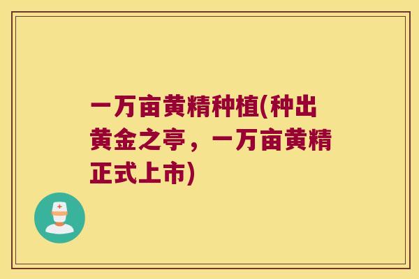 一万亩黄精种植(种出黄金之亭，一万亩黄精正式上市)