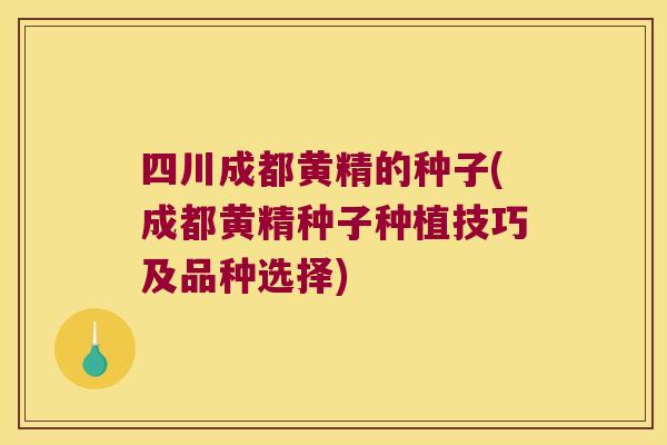 四川成都黄精的种子(成都黄精种子种植技巧及品种选择)