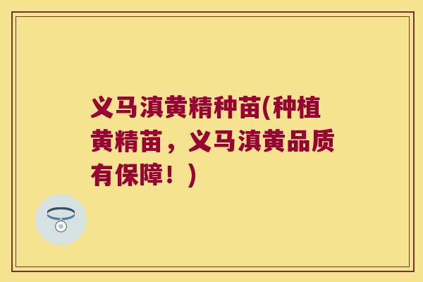 义马滇黄精种苗(种植黄精苗,义马滇黄品质有保障!) 义马滇黄精种苗(种植黄精苗,义马滇黄品质有保障!)
