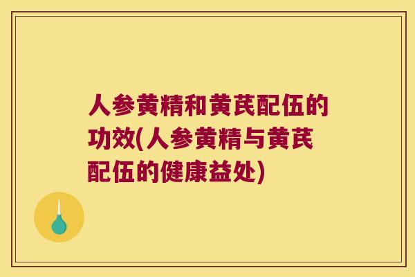 人参黄精和黄芪配伍的功效(人参黄精与黄芪配伍的健康益处) 人参黄精和黄芪配伍的功效(人参黄精与黄芪配伍的健康益处)