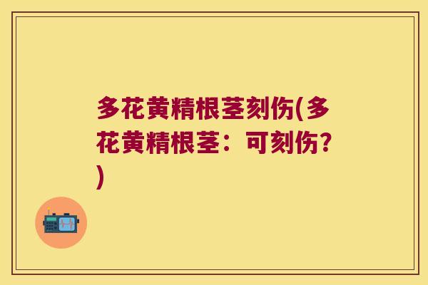多花黄精根茎刻伤(多花黄精根茎:可刻伤?) 多花黄精根茎刻伤(多花黄精根茎:可刻伤?)