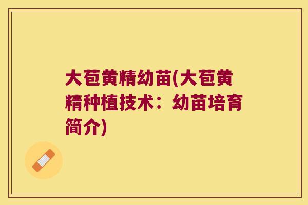 大苞黄精幼苗(大苞黄精种植技术:幼苗培育简介) 大苞黄精幼苗(大苞黄精种植技术:幼苗培育简介)