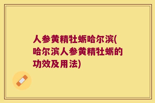 人参黄精牡蛎哈尔滨(哈尔滨人参黄精牡蛎的功效及用法) 人参黄精牡蛎哈尔滨(哈尔滨人参黄精牡蛎的功效及用法)