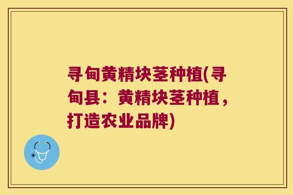 寻甸黄精块茎种植(寻甸县：黄精块茎种植，打造农业品牌)