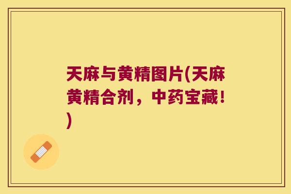 天麻与黄精图片(天麻黄精合剂,宝藏!) 天麻与黄精图片(天麻黄精合剂,宝藏!)