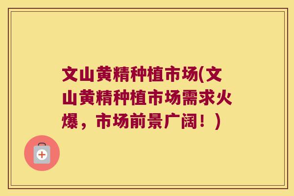 文山黄精种植市场(文山黄精种植市场需求火爆，市场前景广阔！)
