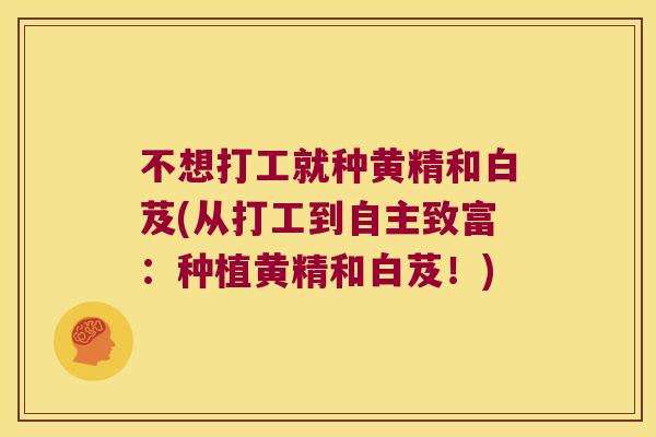不想打工就种黄精和白芨(从打工到自主致富：种植黄精和白芨！)