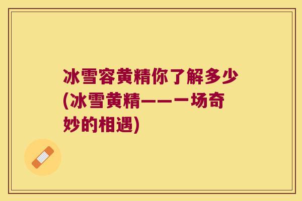 冰雪容黄精你了解多少(冰雪黄精——一场奇妙的相遇) 冰雪容黄精你了解多少(冰雪黄精——一场奇妙的相遇)