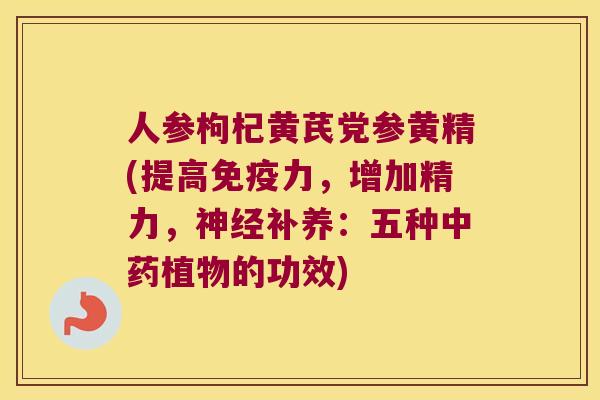 人参枸杞黄芪党参黄精(提高力，增加精力，补养：五种植物的功效)