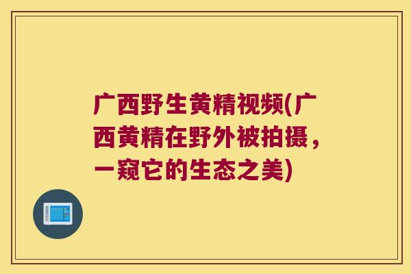 广西野生黄精视频(广西黄精在野外被拍摄，一窥它的生态之美)
