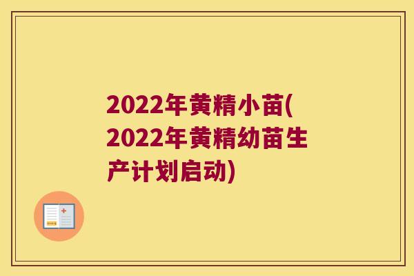 2022年黄精小苗(2022年黄精幼苗生产计划启动) 2022年黄精小苗(2022年黄精幼苗生产计划启动)