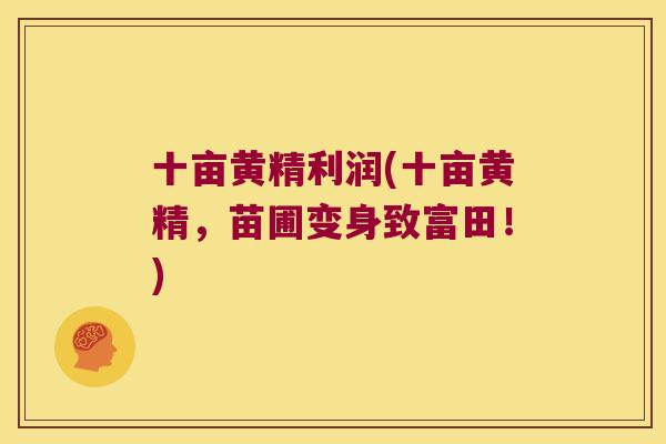 十亩黄精利润(十亩黄精，苗圃变身致富田！)