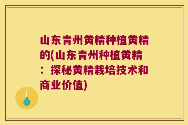 山东青州黄精种植黄精的(山东青州种植黄精：探秘黄精栽培技术和商业价值)