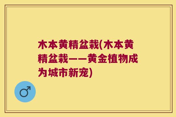 木本黄精盆栽(木本黄精盆栽——黄金植物成为城市新宠) 木本黄精盆栽(木本黄精盆栽——黄金植物成为城市新宠)