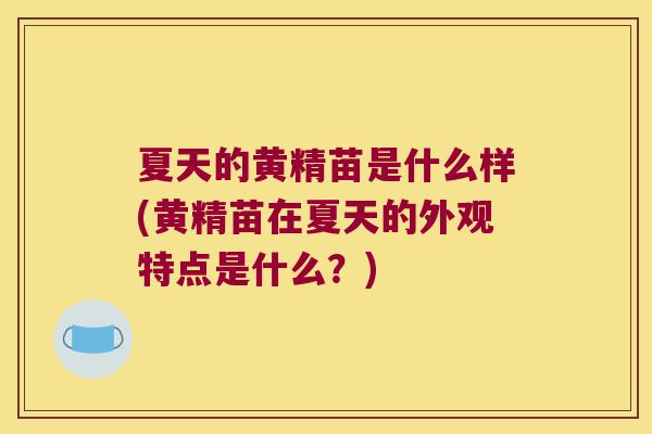 夏天的黄精苗是什么样(黄精苗在夏天的外观特点是什么？)
