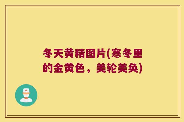 冬天黄精图片(寒冬里的金黄色，美轮美奂)