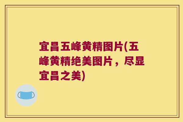 宜昌五峰黄精图片(五峰黄精绝美图片，尽显宜昌之美)