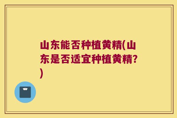 山东能否种植黄精(山东是否适宜种植黄精?) 山东能否种植黄精(山东是否适宜种植黄精?)