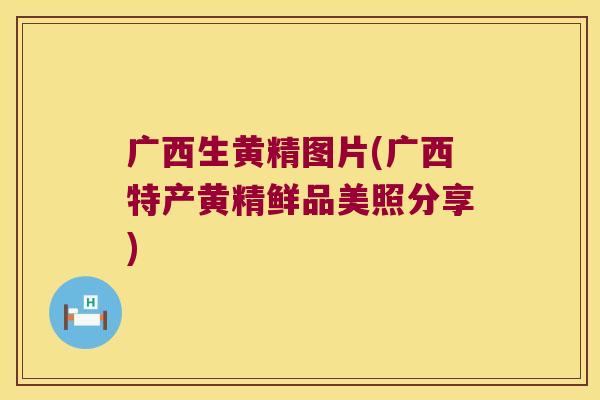 广西生黄精图片(广西特产黄精鲜品美照分享) 广西生黄精图片(广西特产黄精鲜品美照分享)