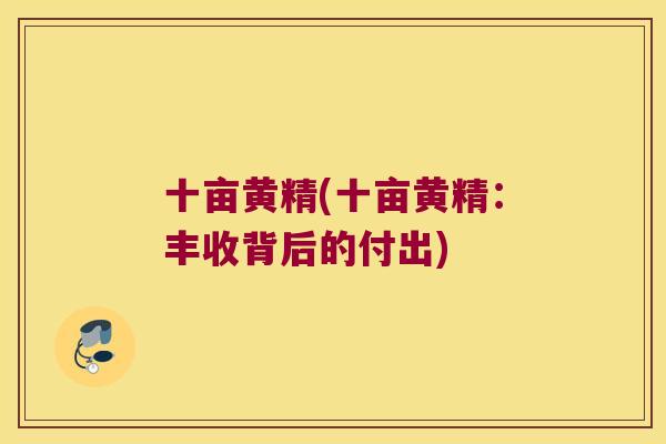 十亩黄精(十亩黄精：丰收背后的付出)
