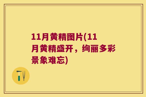 11月黄精图片(11月黄精盛开，绚丽多彩景象难忘)