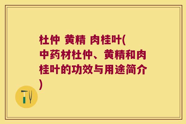 杜仲 黄精 肉桂叶(材杜仲、黄精和肉桂叶的功效与用途简介) 杜仲 黄精 肉桂叶(材杜仲、黄精和肉桂叶的功效与用途简介)