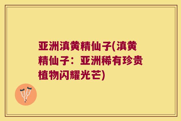 亚洲滇黄精仙子(滇黄精仙子:亚洲稀有珍贵植物闪耀光芒) 亚洲滇黄精仙子(滇黄精仙子:亚洲稀有珍贵植物闪耀光芒)