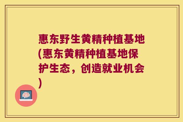 惠东野生黄精种植基地(惠东黄精种植基地保护生态,创造就业机会) 惠东野生黄精种植基地(惠东黄精种植基地保护生态,创造就业机会)