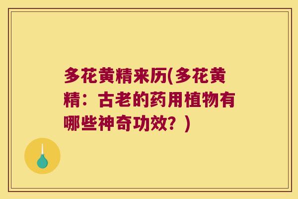 多花黄精来历(多花黄精：古老的药用植物有哪些神奇功效？)