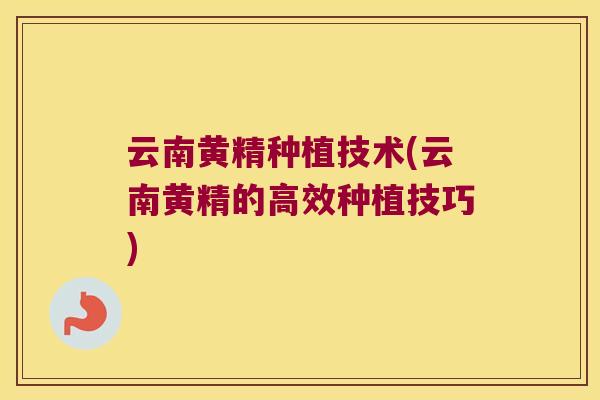 云南黄精种植技术(云南黄精的高效种植技巧)