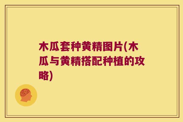 木瓜套种黄精图片(木瓜与黄精搭配种植的攻略)